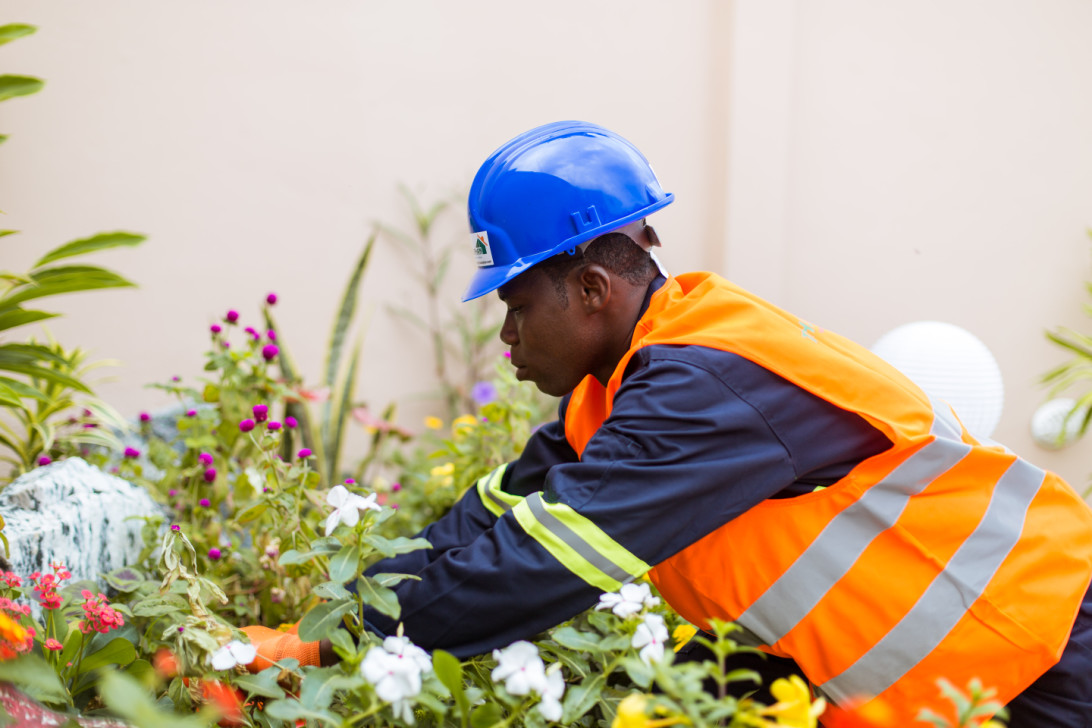 Gardening